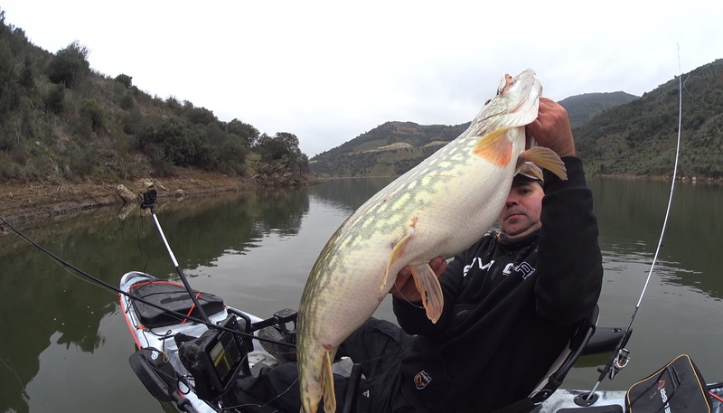 Fish Profile Picture
