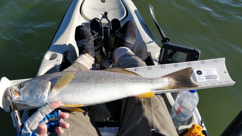 Fish Measure Picture