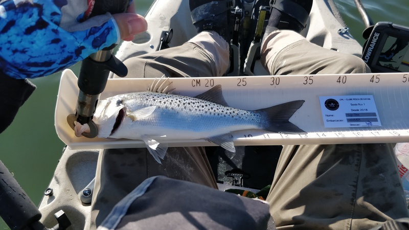 Fish Measure Picture