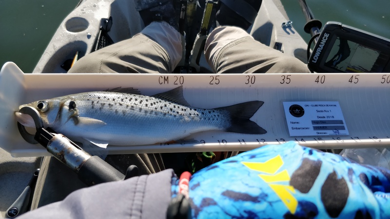 Fish Measure Picture