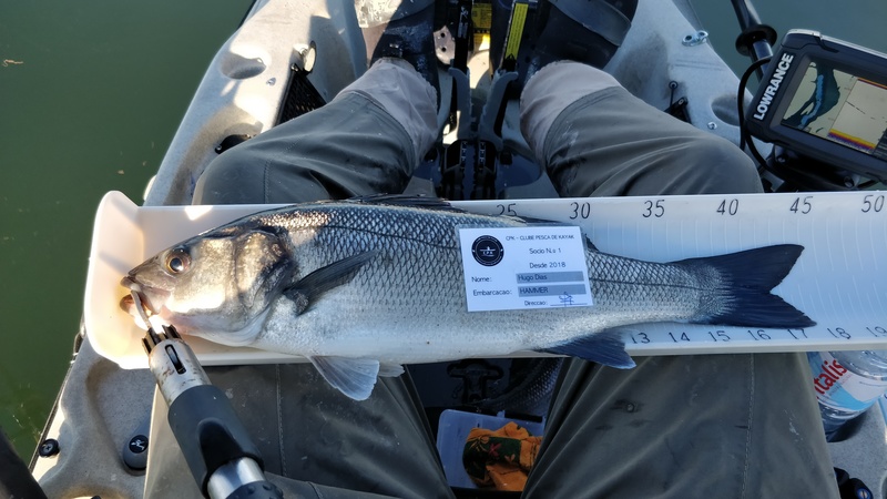 Fish Measure Picture