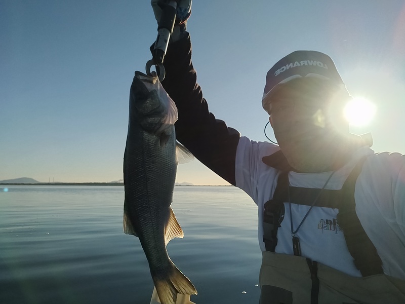 Fish Profile Picture