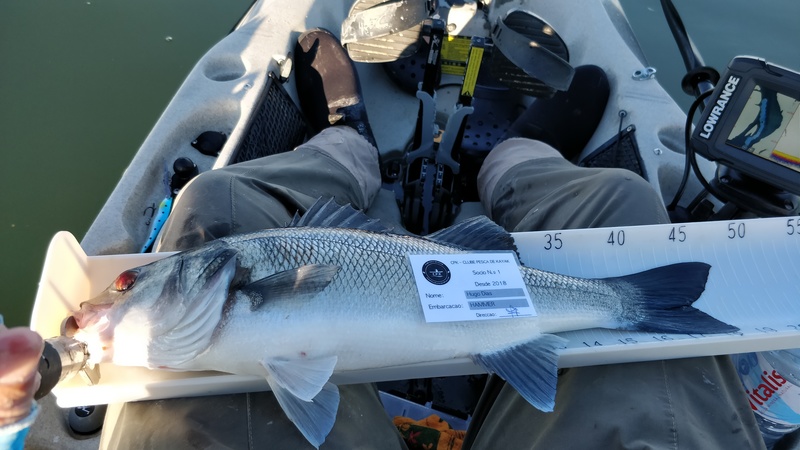 Fish Measure Picture