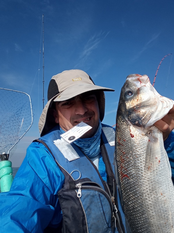 Fish Profile Picture