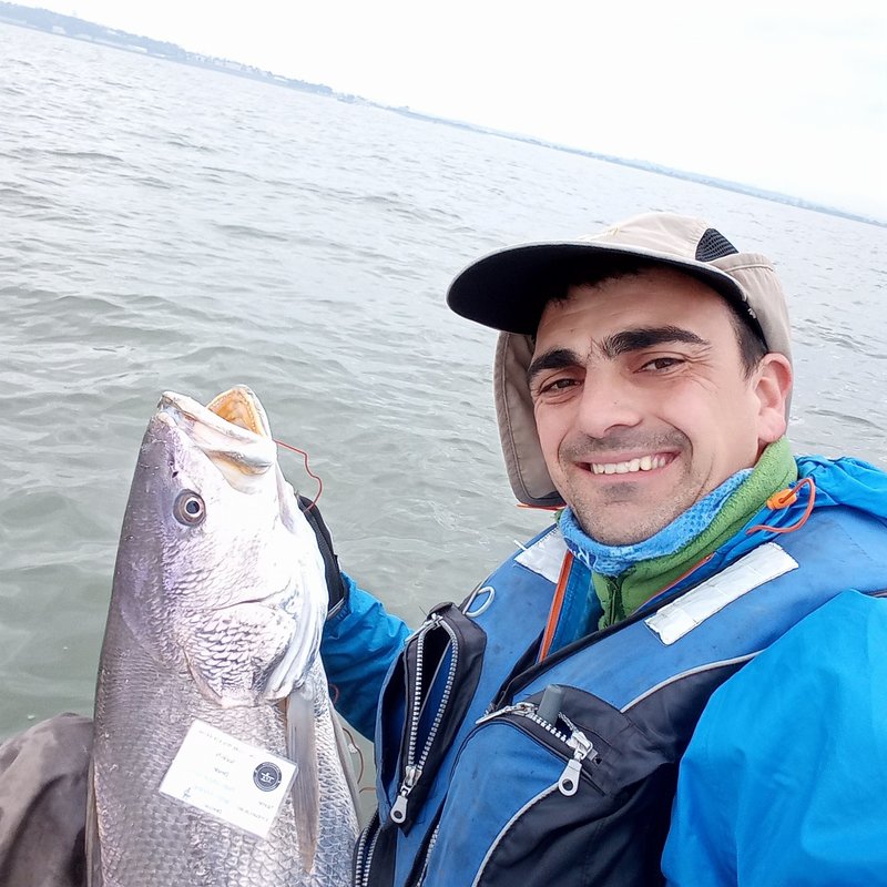Fish Profile Picture