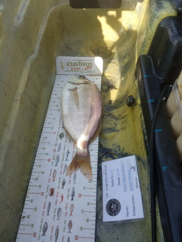 Fish Measure Picture