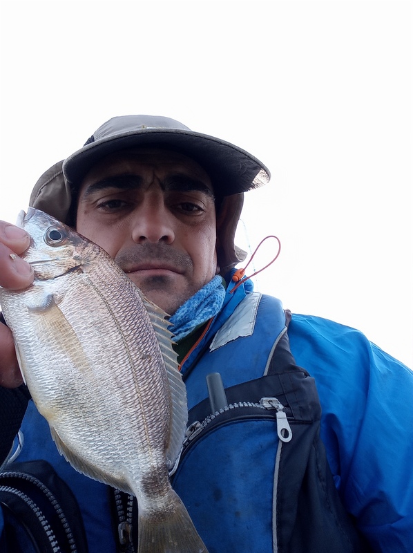Fish Profile Picture