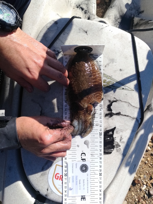 Fish Measure Picture