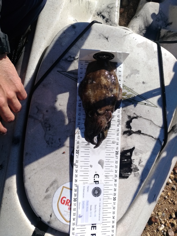 Fish Measure Picture