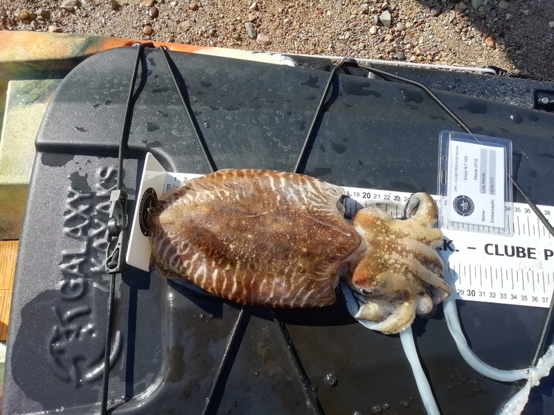 Fish Measure Picture