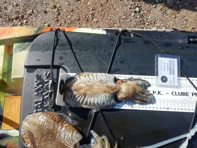 Fish Measure Picture