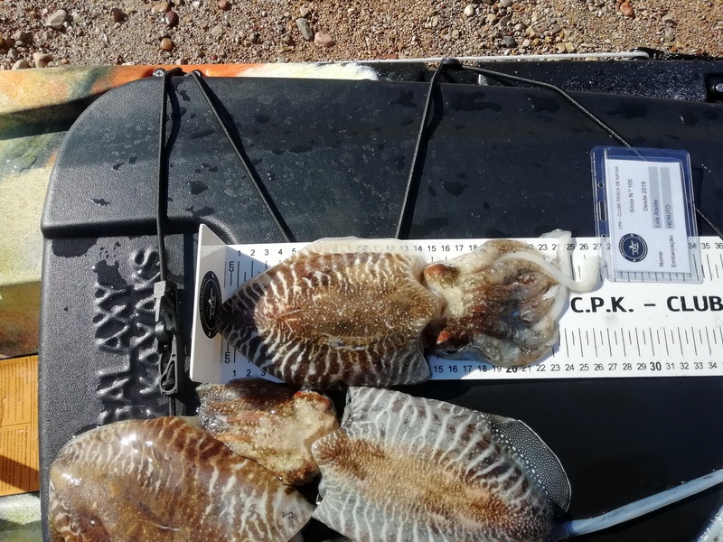Fish Measure Picture