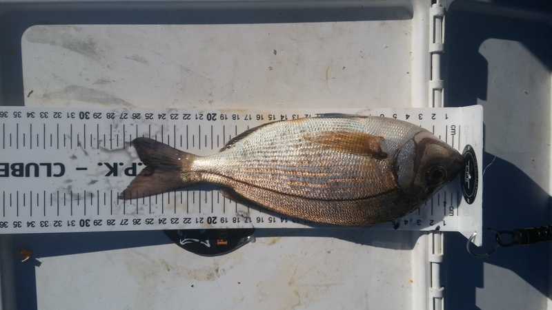 Fish Measure Picture