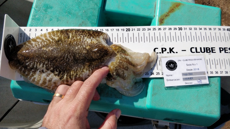 Fish Measure Picture
