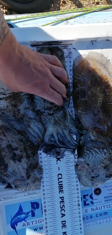 Fish Measure Picture