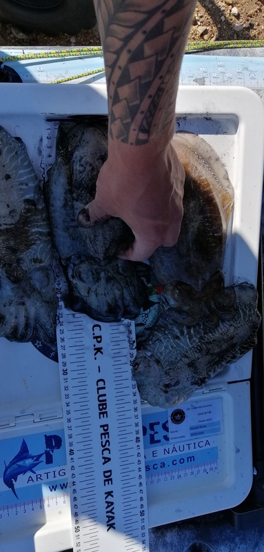 Fish Measure Picture