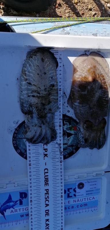 Fish Measure Picture
