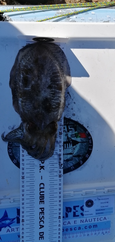Fish Measure Picture