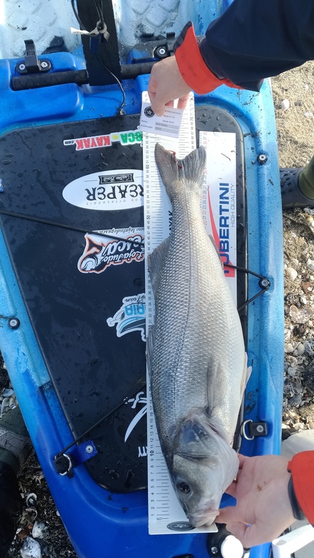 Fish Measure Picture
