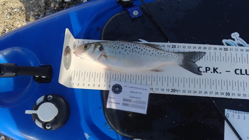 Fish Measure Picture