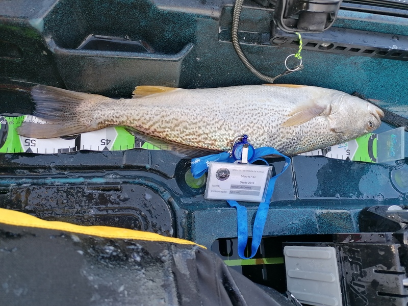 Fish Measure Picture