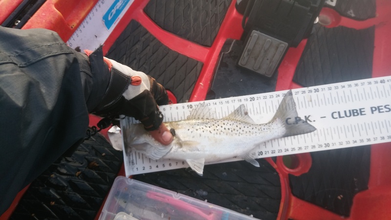Fish Measure Picture