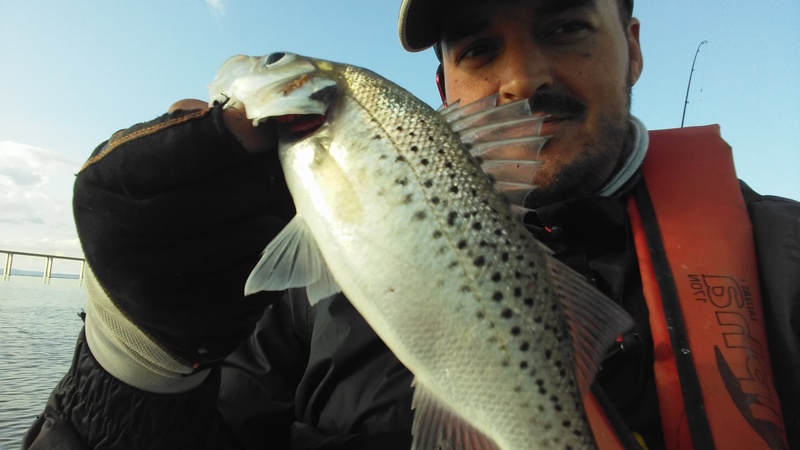 Fish Profile Picture