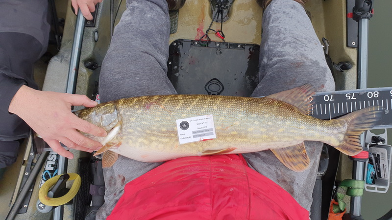 Fish Measure Picture
