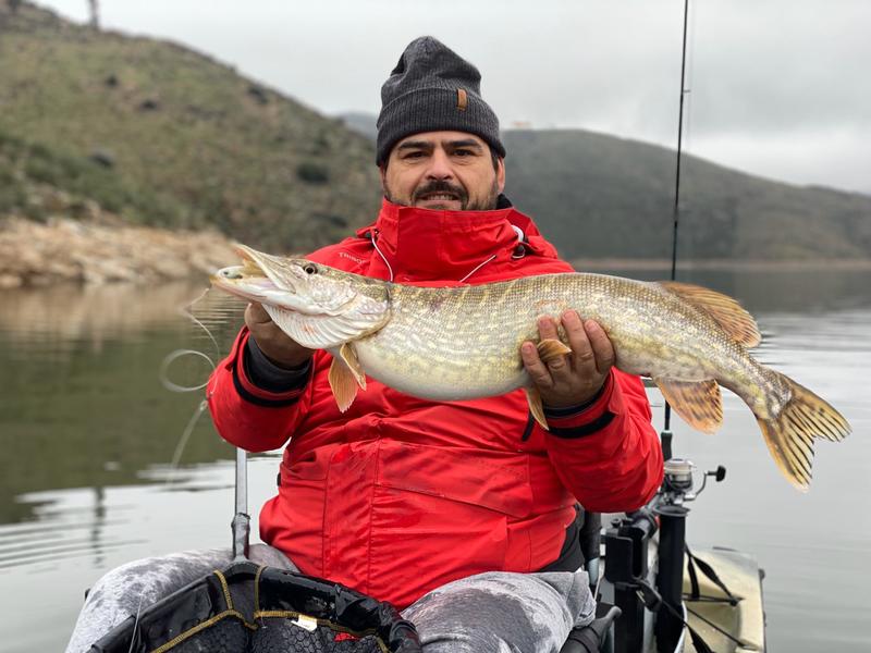 Fish Profile Picture