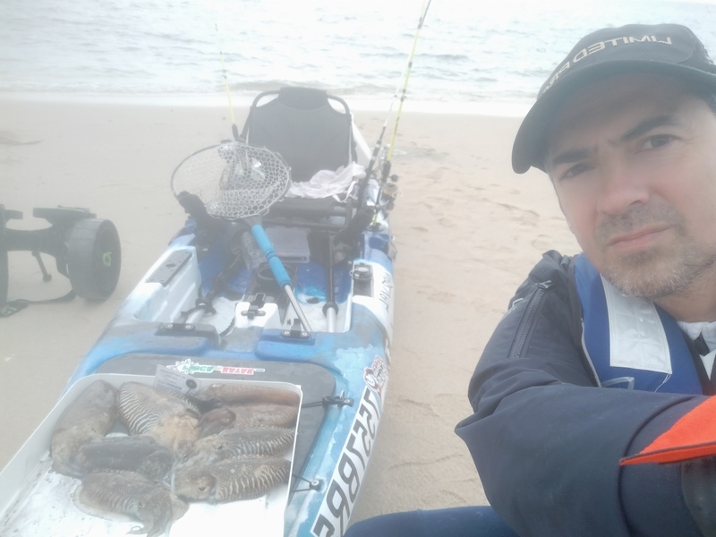 Fish Profile Picture