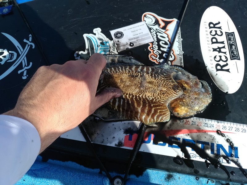Fish Measure Picture