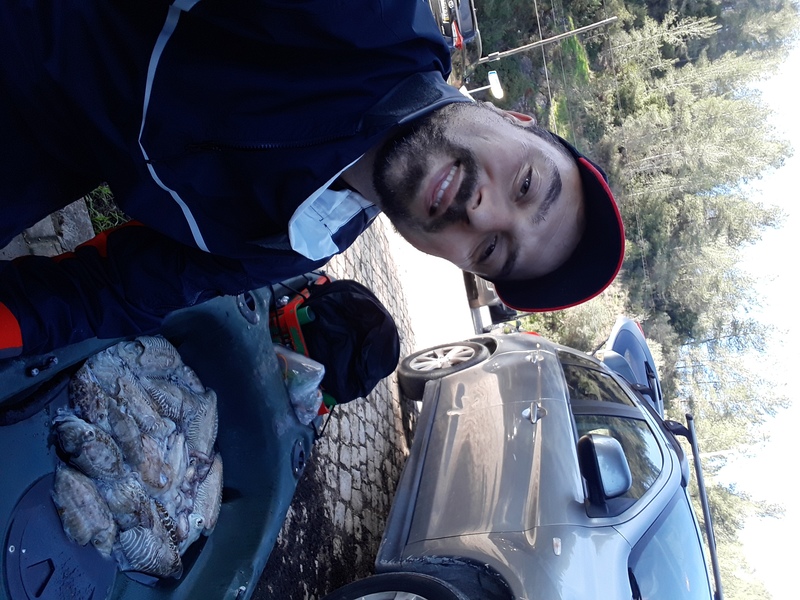 Fish Profile Picture