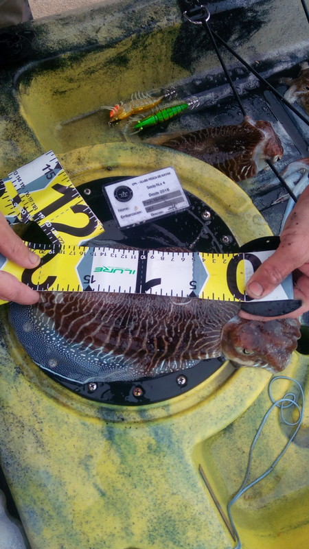 Fish Measure Picture