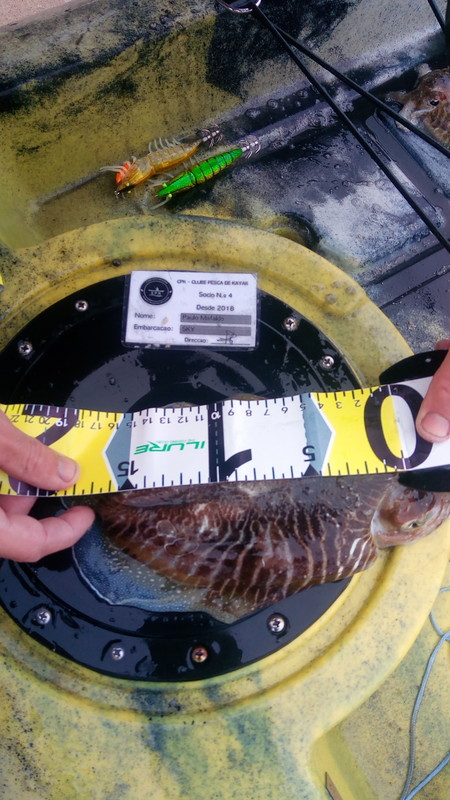 Fish Measure Picture