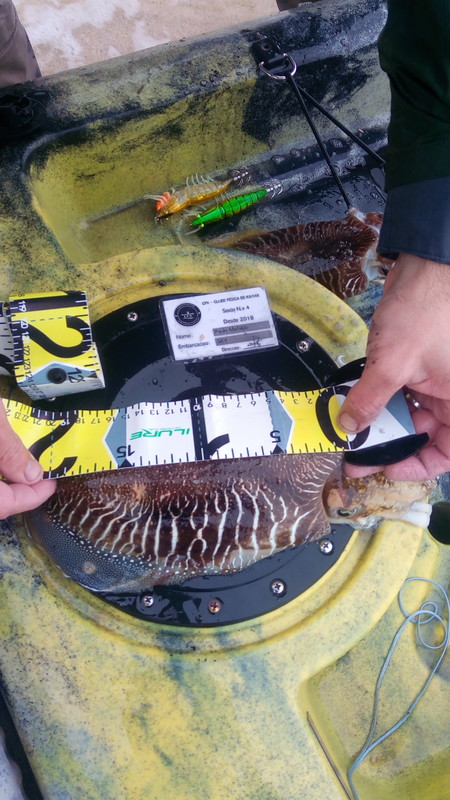 Fish Measure Picture