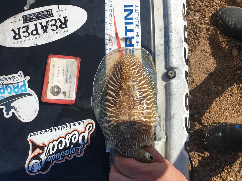 Fish Measure Picture