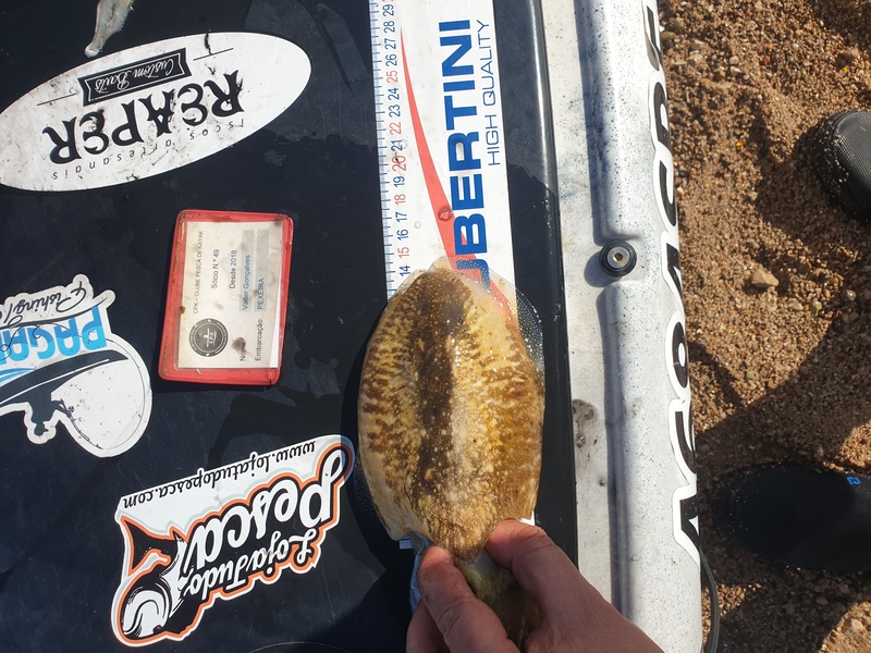 Fish Measure Picture