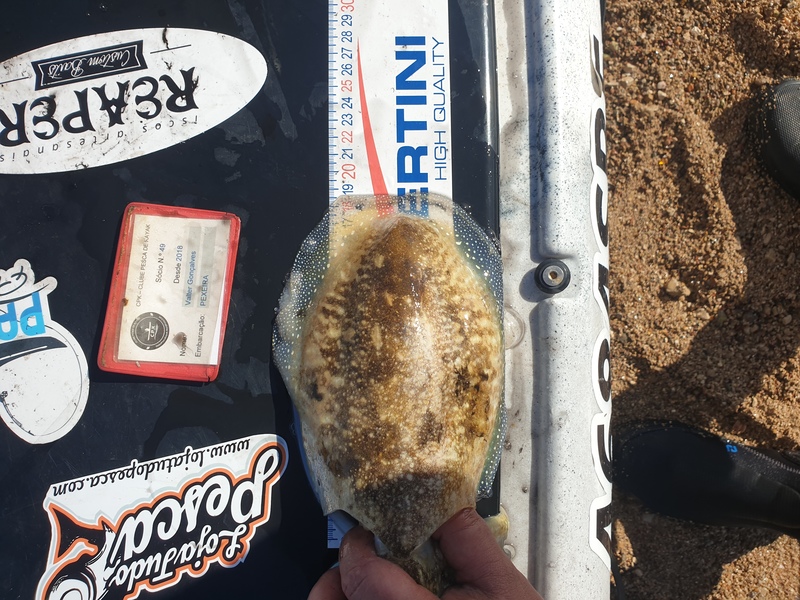 Fish Measure Picture
