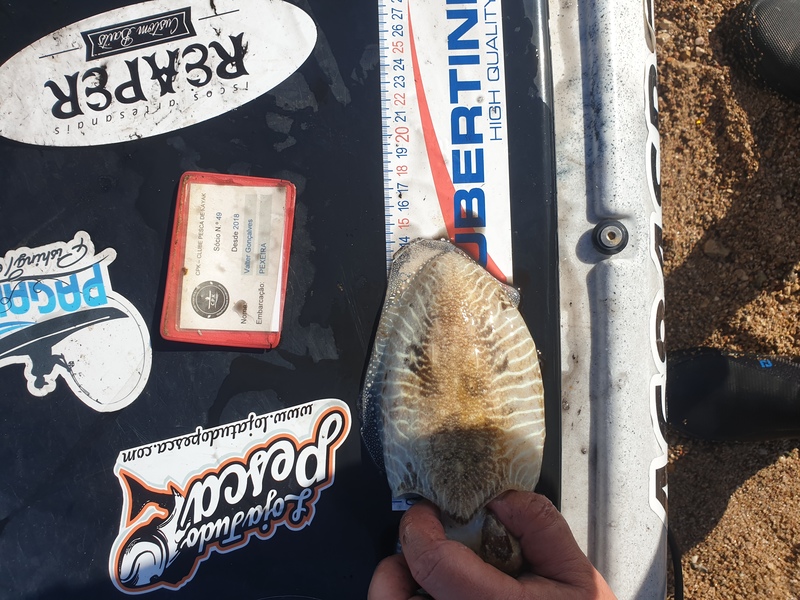 Fish Measure Picture