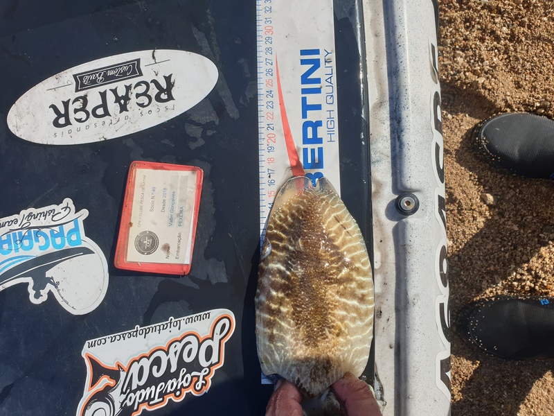 Fish Measure Picture