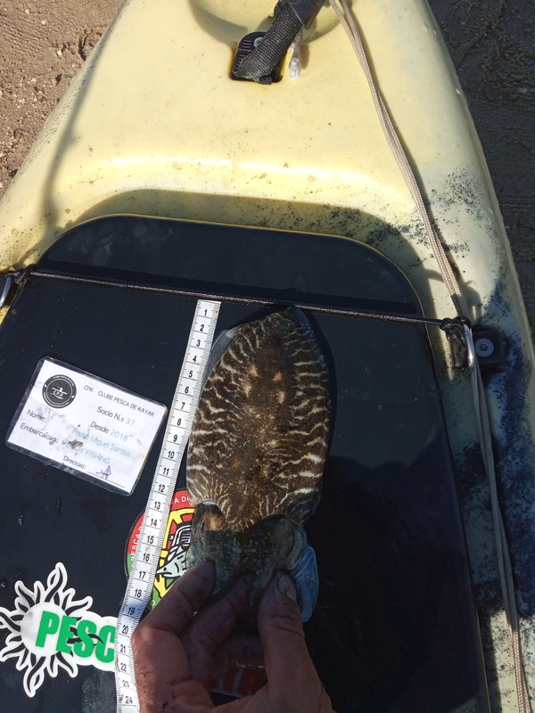 Fish Measure Picture