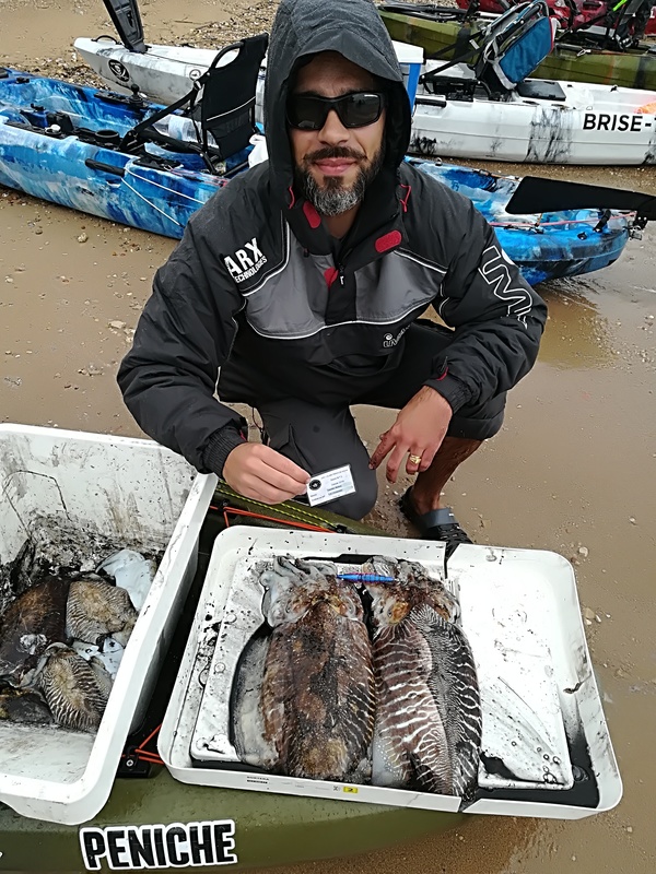 Fish Profile Picture