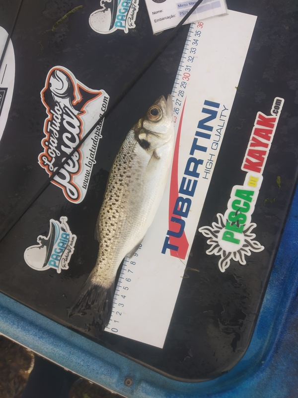Fish Measure Picture