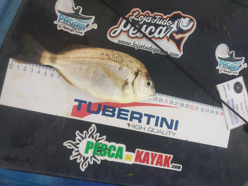 Fish Measure Picture