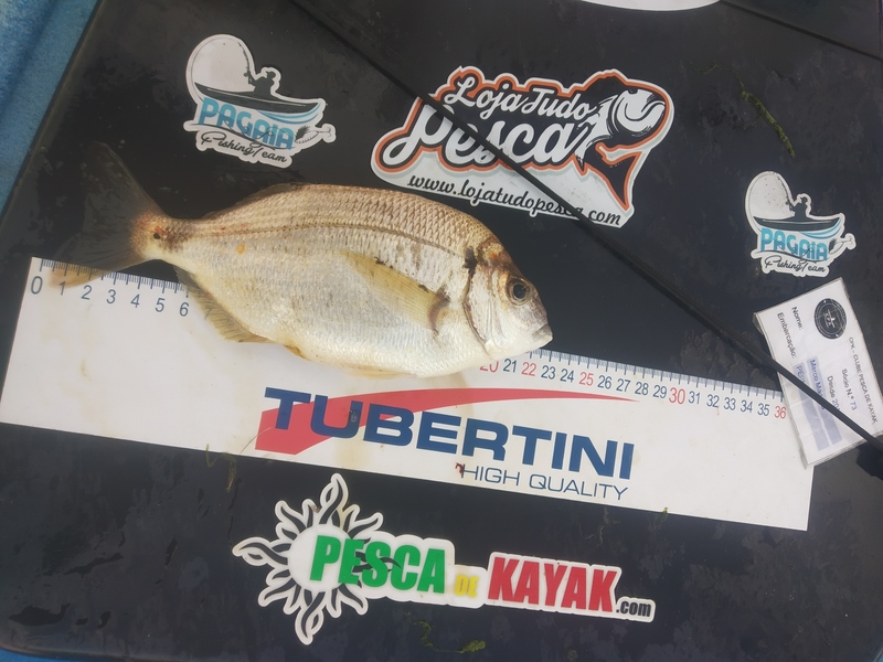 Fish Measure Picture