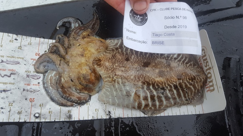 Fish Measure Picture