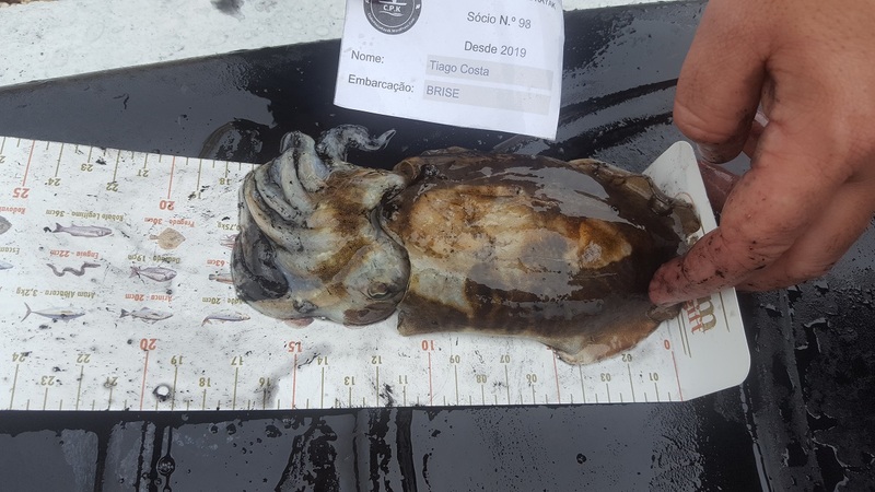 Fish Measure Picture