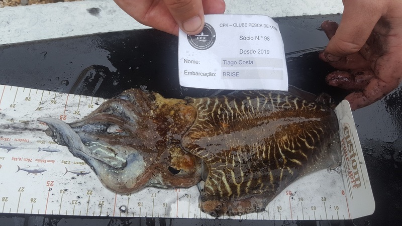 Fish Measure Picture