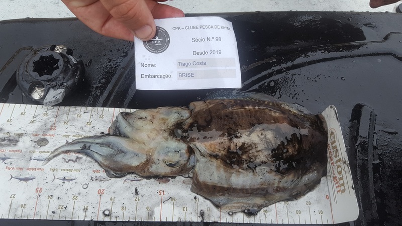 Fish Measure Picture