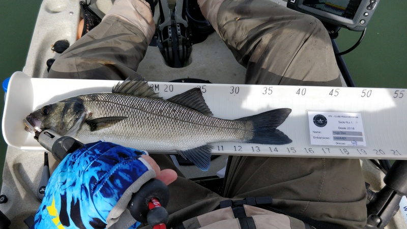 Fish Measure Picture
